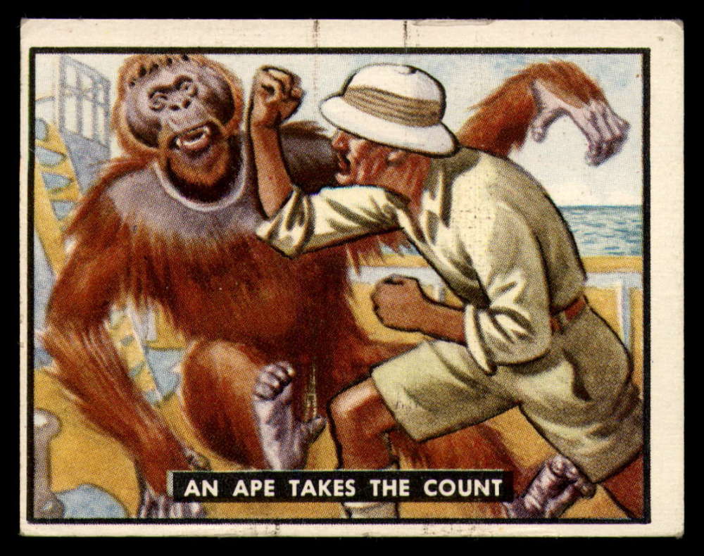 50TBBA 95 An Ape Takes The Count.jpg